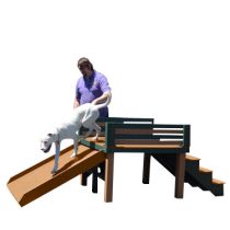 Top Dog Slide - Large